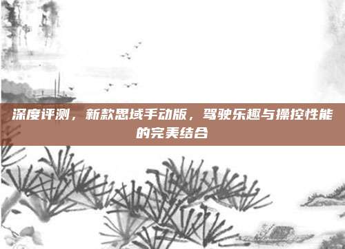 深度评测,新款思域手动版,驾驶乐趣与操控性能的完美结合