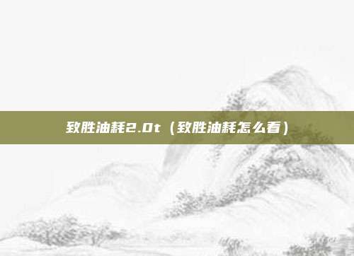 致胜油耗2.0t（致胜油耗怎么看）