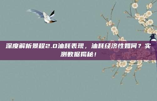深度解析景程2.0油耗表现，油耗经济性如何？实测数据揭秘！