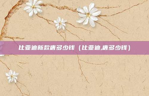 比亚迪新款唐多少钱(比亚迪,唐多少钱)