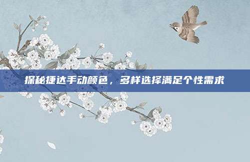 探秘捷达手动颜色,多样选择满足个性需求