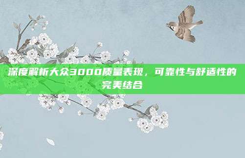 深度解析大众3000质量表现，可靠性与舒适性的完美结合