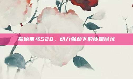 揭秘宝马528,动力强劲下的质量隐忧