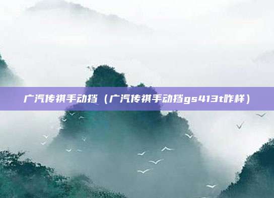 广汽传祺手动挡(广汽传祺手动挡gs413t咋样)