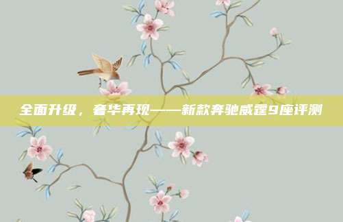 全面升级,奢华再现——新款奔驰威霆9座评测