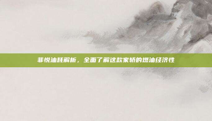 菲悦油耗解析,全面了解这款家轿的燃油经济性