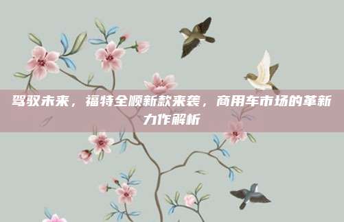 驾驭未来,福特全顺新款来袭,商用车市场的革新力作解析