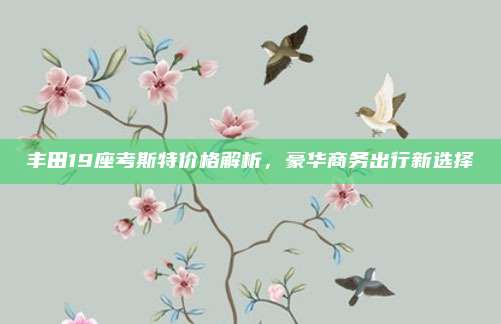 丰田19座考斯特价格解析，豪华商务出行新选择