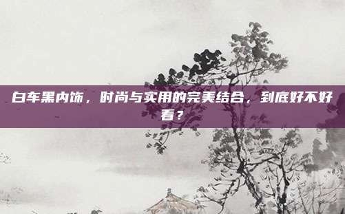 白车黑内饰,时尚与实用的完美结合,到底好不好看?
