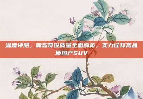 深度评测，新款奇俊质量全面解析，实力诠释高品质国产SUV