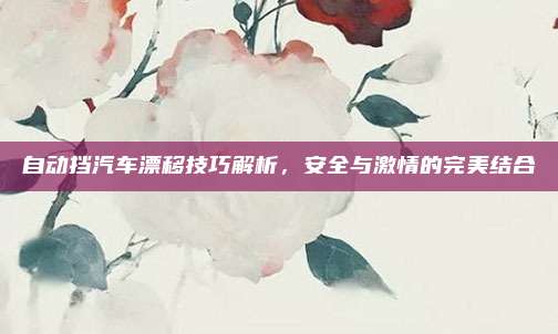 自动挡汽车漂移技巧解析,安全与激情的完美结合