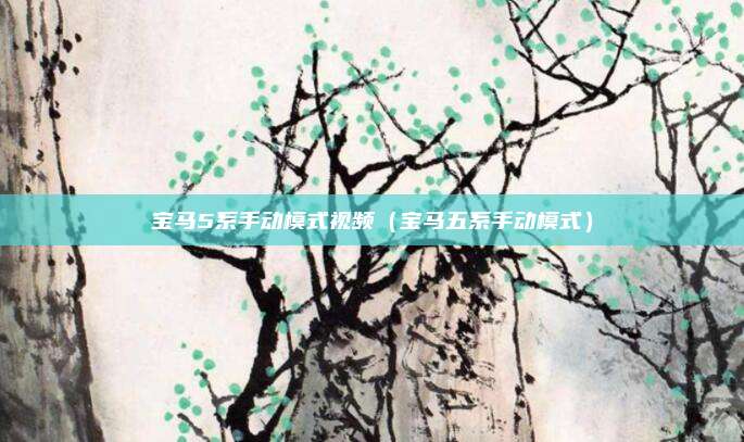 宝马5系手动模式视频（宝马五系手动模式）