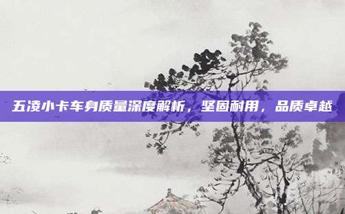 五凌小卡车身质量深度解析,坚固耐用,品质卓越