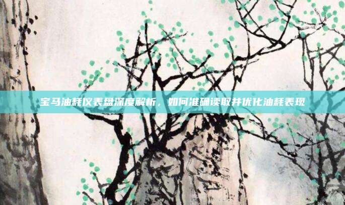 宝马油耗仪表盘深度解析，如何准确读取并优化油耗表现