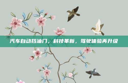 汽车自动挡油门,科技革新,驾驶体验再升级