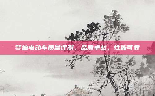梦迪电动车质量评测，品质卓越，性能可靠