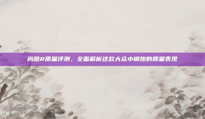 尚酷R质量评测，全面解析这款大众小钢炮的质量表现