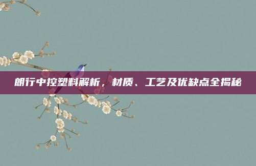 朗行中控塑料解析,材质、工艺及优缺点全揭秘