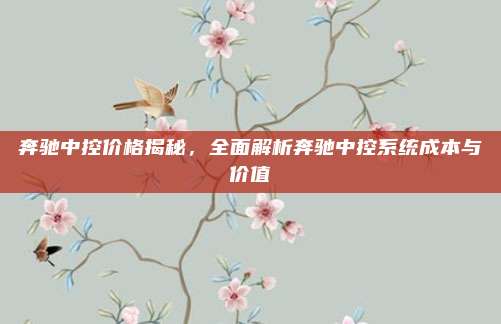 奔驰中控价格揭秘,全面解析奔驰中控系统成本与价值
