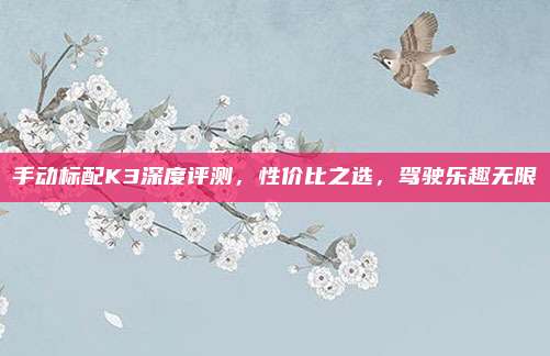 手动标配K3深度评测，性价比之选，驾驶乐趣无限