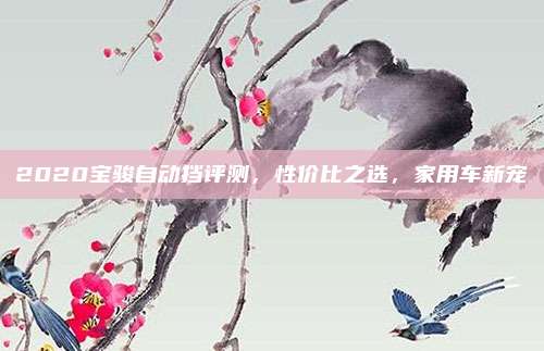 2020宝骏自动挡评测，性价比之选，家用车新宠