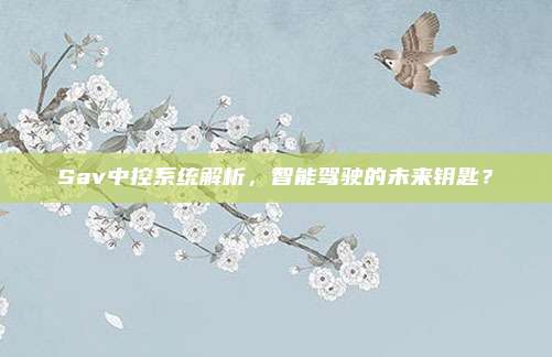 Sav中控系统解析，智能驾驶的未来钥匙？