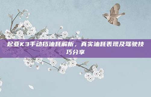 起亚K3手动挡油耗解析，真实油耗表现及驾驶技巧分享