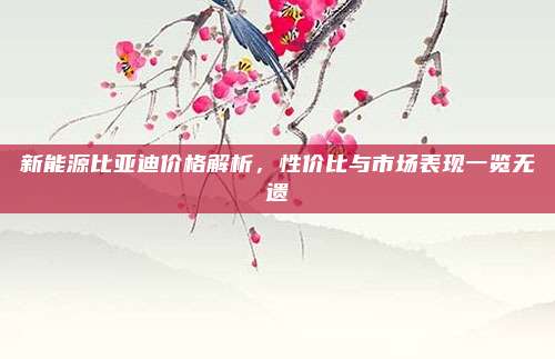 新能源比亚迪价格解析，性价比与市场表现一览无遗