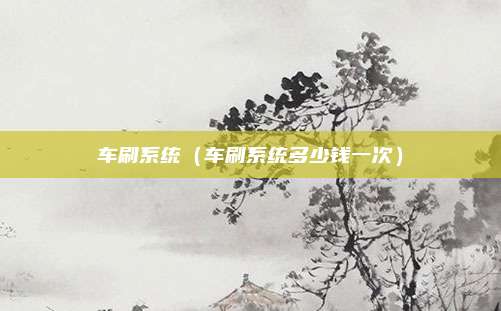 车刷系统（车刷系统多少钱一次）