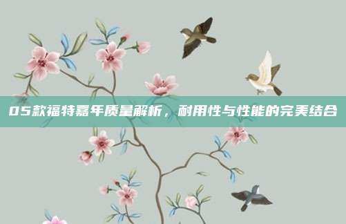 05款福特嘉年质量解析，耐用性与性能的完美结合