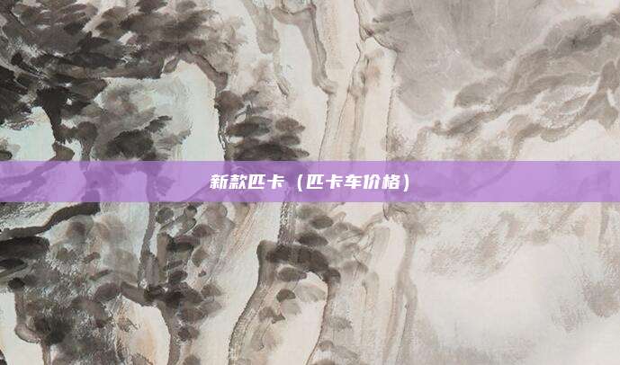 新款匹卡（匹卡车价格）