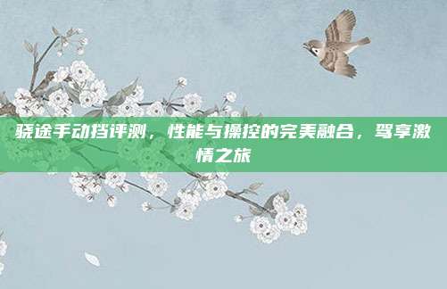 骁途手动挡评测，性能与操控的完美融合，驾享激情之旅