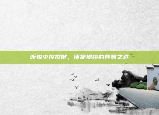 昕锐中控按键,便捷操控的智慧之选