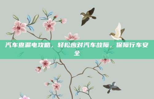 汽车查漏电攻略，轻松应对汽车故障，保障行车安全