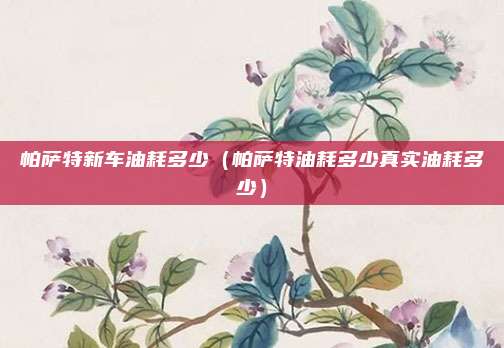 帕萨特新车油耗多少（帕萨特油耗多少真实油耗多少）