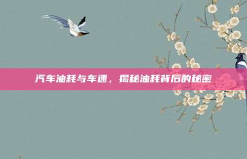 汽车油耗与车速，揭秘油耗背后的秘密