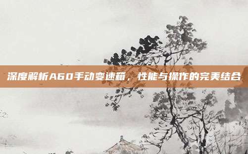 深度解析A60手动变速箱,性能与操作的完美结合