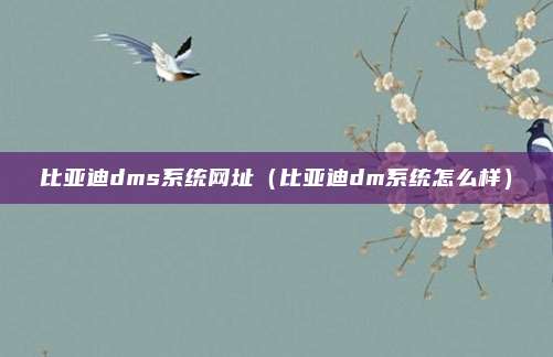 比亚迪dms系统网址（比亚迪dm系统怎么样）