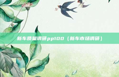 新车质量调研pp100(新车市场调研)