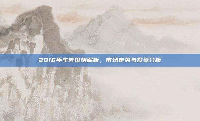 2016年车牌价格解析，市场走势与投资分析