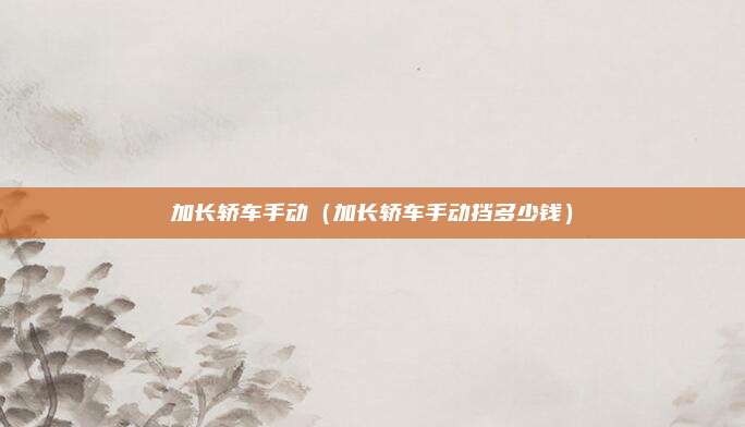 加长轿车手动(加长轿车手动挡多少钱)