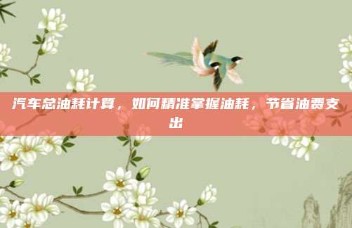 汽车总油耗计算,如何精准掌握油耗,节省油费支出