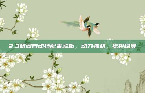 2.3雅阁自动挡配置解析，动力强劲，操控稳健