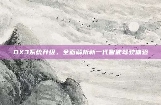 DX3系统升级,全面解析新一代智能驾驶体验