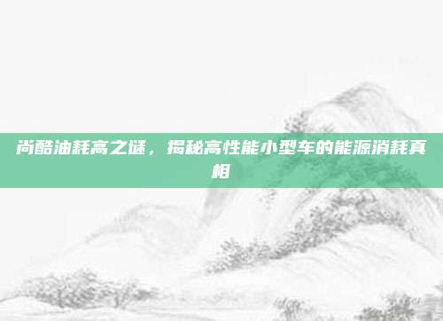 尚酷油耗高之谜，揭秘高性能小型车的能源消耗真相