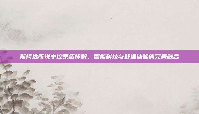 斯柯达昕锐中控系统详解，智能科技与舒适体验的完美融合