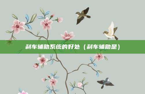 刹车辅助系统的好处（刹车辅助是）
