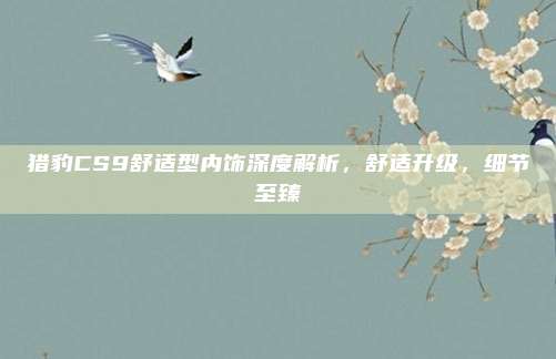 猎豹CS9舒适型内饰深度解析，舒适升级，细节至臻