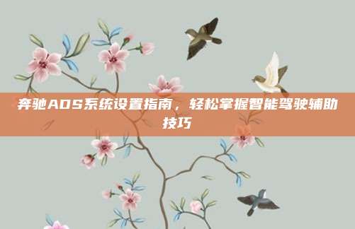 奔驰ADS系统设置指南，轻松掌握智能驾驶辅助技巧