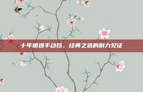 十年朗逸手动挡，经典之选的耐力见证